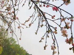 -常德桃花源景区