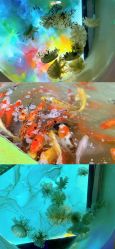 点击看大图 -七巧国萌宠乐园(龙湖天街店)