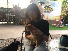 -柴犬高等学院·狗咖·柴犬售卖·宠物训练