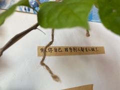 -小晴天咖啡馆