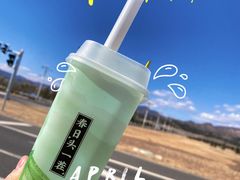 -鲜芒多·杨枝甘露(摩尔城A座10楼店)