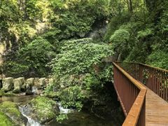 -牛背梁国家森林公园
