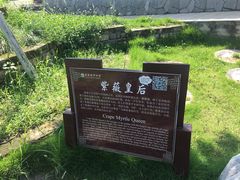 -武汉紫薇都市田园