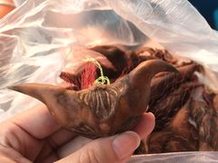 -白洋淀景区