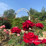 北京植物园 门票五块钱，便宜哭了