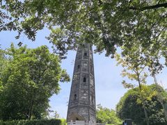 -上海佘山国家森林公园天马山园