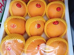 -东方鼎信农副产品交易中心