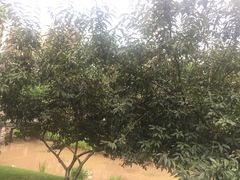 -沐仙湖湿地公园