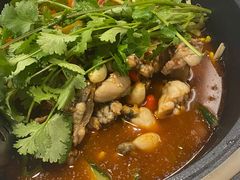 田鸡-兵哥活鸡鱼馆(仙乐花园店)