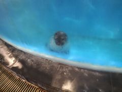 -锦艺城海洋馆