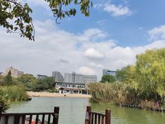 -青枫公园