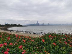 -深圳湾公园(南山区)