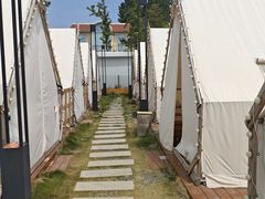 -日照海滨国家森林公园