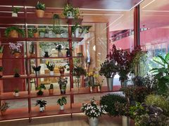 -二酉书店TOYOU BOOKS