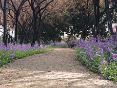 -泰州凤城河风景区-泰山公园