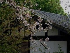-中国茶叶博物馆(双峰馆区)