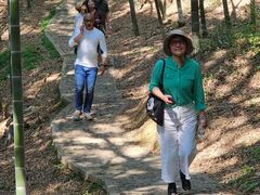 -上海佘山国家森林公园天马山园