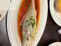 -京香轩·中餐厅(上海中庚聚龙酒店)