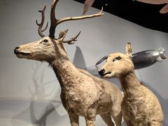 -中国湿地博物馆