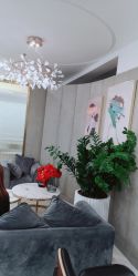 -八佰伴8008星级形象店
