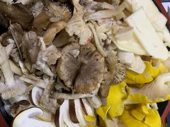 -菌之家·专业纯野生菌火锅·特色炒菌
