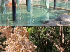 -湖泉半山温泉