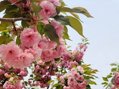 -回龙观体育文化公园