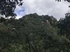 -大岭沟猕猴桃谷风景区