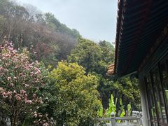 -临江·阅炉