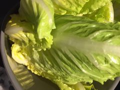 罗马生菜-麻路成都火锅(柏威年店)