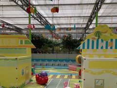 -南宫五洲植物乐园