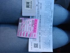 -枫花园汽车电影院(朝阳公园店)