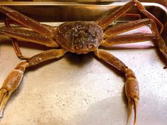 -綱元·海鲜豆捞(明州里店)