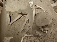 -洛阳周王城天子驾六博物馆