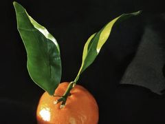 -小樽洋菓子铺LeTAO(华润时代店)