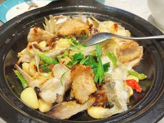 古法花腩葱油焗鲈鱼-常来小聚·广州非遗传承餐厅(高德置地店)