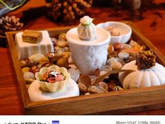龙吟迎客小茶点-龙吟山房(青龙山庄店)