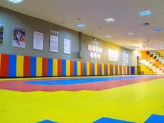 -米高轮滑·自由式轮滑·速桩·滑板(锦辉店)