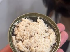 -共舞时光猫咖·狗咖(新街口店)