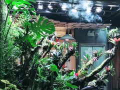 -森味薪火烧•烧鸟居酒屋•日本料理(望京店)