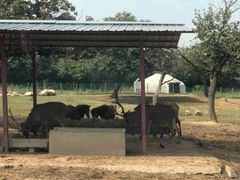 -西安秦岭野生动物园