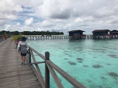 -邦邦岛
