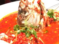 -坛宗剁椒鱼头(河西王府井店)