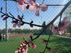 -瀛海足球主题公园