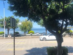 -野菌皇海景野生菌火锅(滨海大道店)