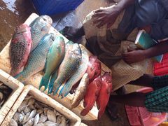 尼甘布海鲜市场-尼甘布海鲜市场