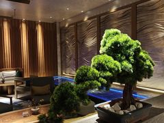 -浅深(北京北四环精品店)