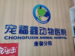 -宠福鑫康馨动物医院·骨科·眼科