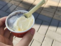 -Dal Cuore 达可芮冰淇淋(陕西北路店)