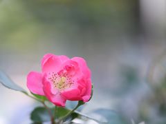 -尚贤河湿地